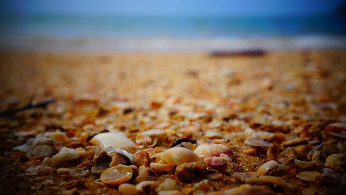 Van Gölü'ndeki bir adada yükselen küçük bir taş kilise; sudan bakıldığında arkasında dik bir yamaç görülmektedir.